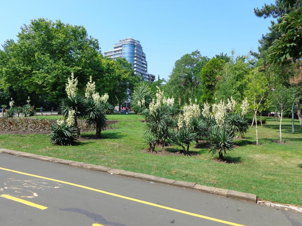 Zoya Apartment Burgas Bagian luar foto